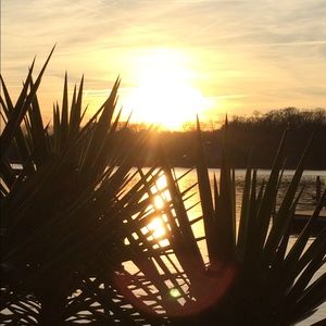 Meet your Posher, Maureen